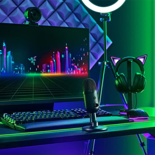 Razer Seiren V2 X Microphone (Black)