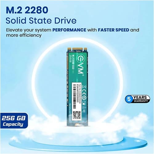 EVM 256GB M.2 SATA SSD