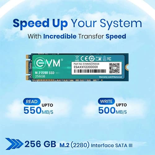 EVM 256GB M.2 SATA SSD