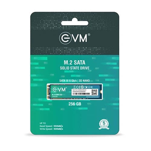 EVM 256GB M.2 SATA SSD
