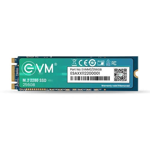 EVM 256GB M.2 SATA SSD
