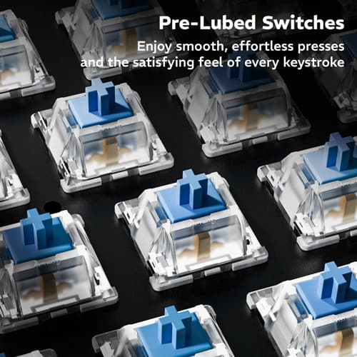 Dawg HighKEY 685 RGB Keyboard with Blue Glacier Switches