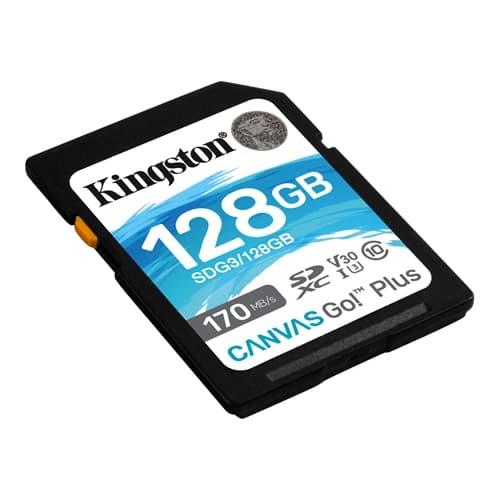 Kingston Canvas Go! Plus 128GB SD Memory Card
