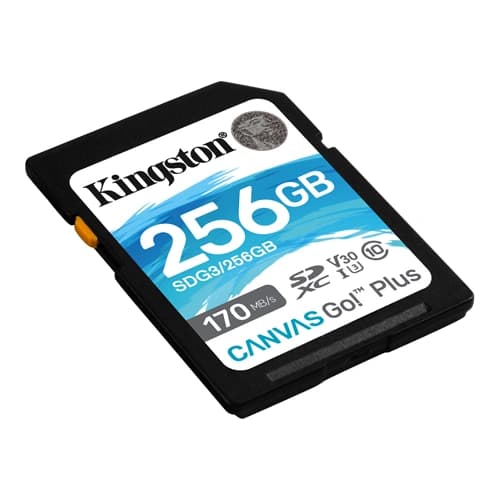 Kingston Canvas Go! Plus 256GB SD Memory Card