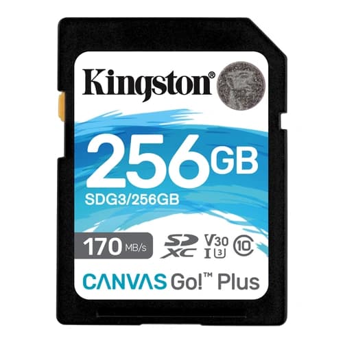 Kingston Canvas Go! Plus 256GB SD Memory Card