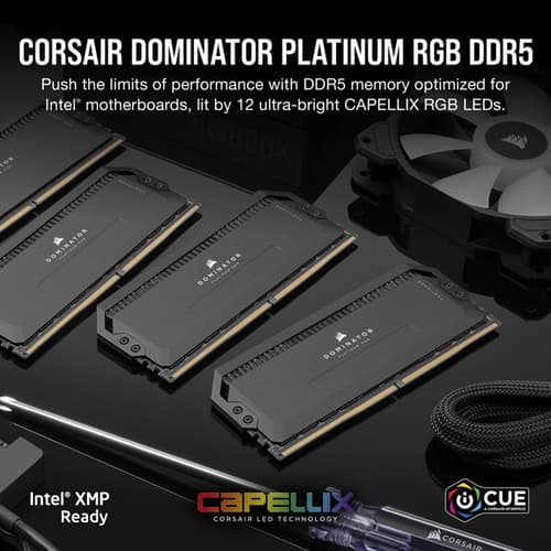 Corsair Dominator Platinum RGB DDR5 32GB (16GBx2) 5600MHz RAM (Black)