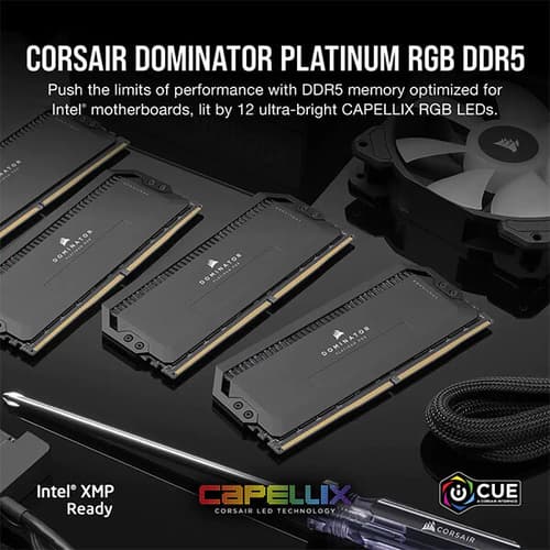 Corsair Dominator Platinum RGB DDR5 32GB (16GBx2) 7200MHz Desktop RAM (Black)