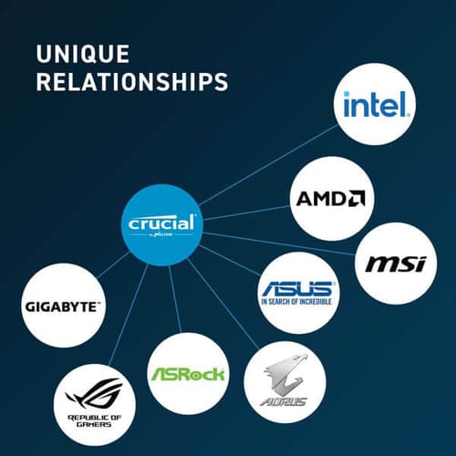 Crucial 8GB (8GBx1) DDR5 4800MHz Desktop RAM
