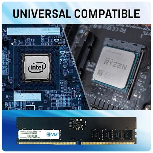 EVM 16GB 5600MHz DDR5 RAM