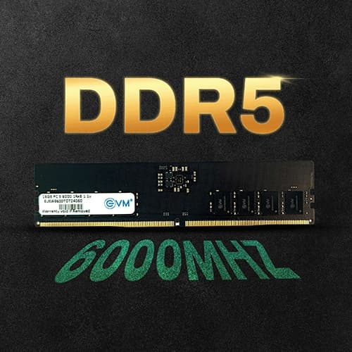 EVM 16GB 6000MHz DDR5 RAM