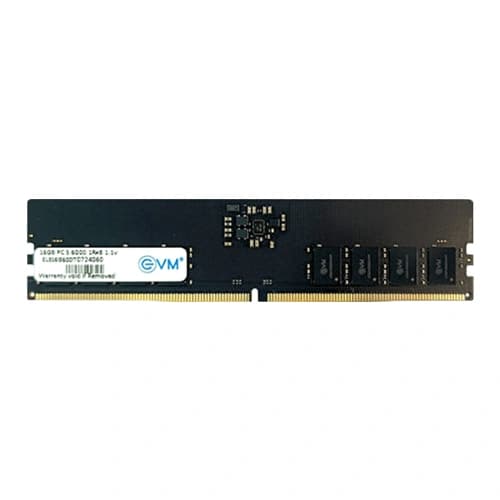 EVM 16GB 6000MHz DDR5 RAM