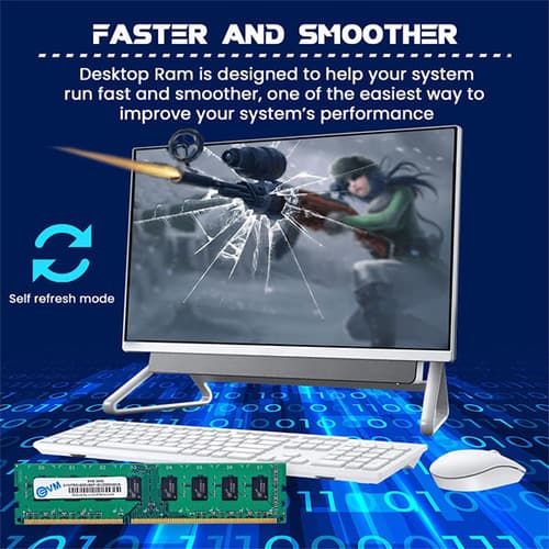 EVM 8GB (8GBx1) DDR3 1600MHz Desktop RAM