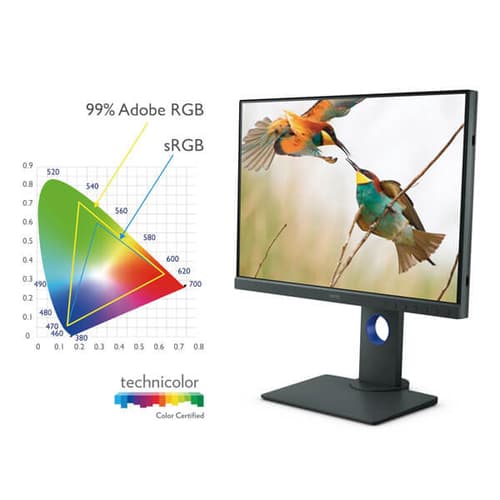 BenQ SW240 24 inch Monitor