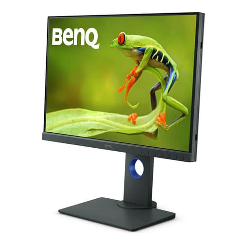 BenQ SW240 24 inch Monitor