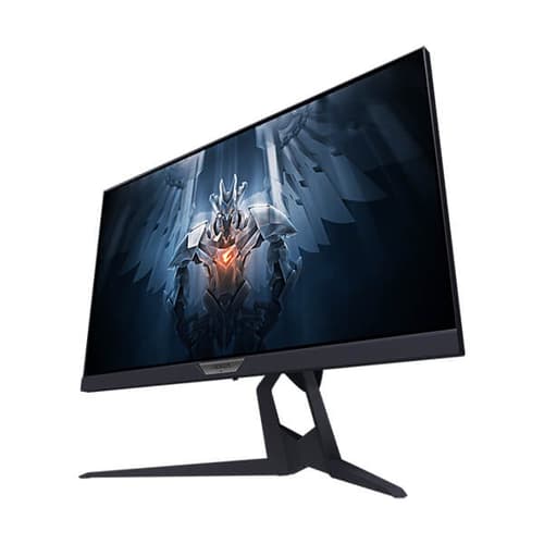 Gigabyte Aorus FI25F 25 Inch Gaming Monitor
