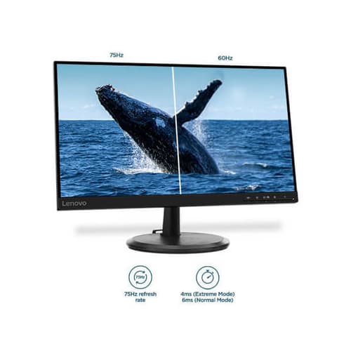 Lenovo D22e-20 22 Inch Professional Monitor