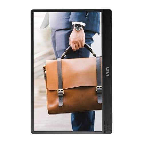 MSI Pro MP161 16 Inch Portable and Ultra-slim Business Monitor