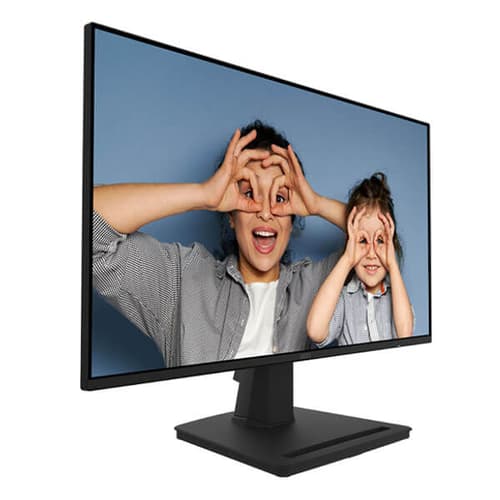 MSI Pro MP252 25 Inch Business Monitor