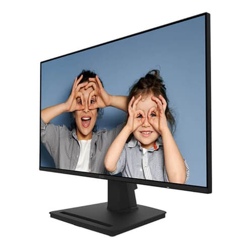 MSI Pro MP252 25 Inch Business Monitor