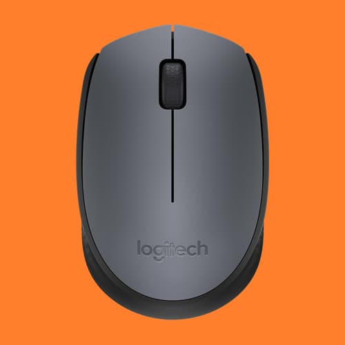 Logitech M170