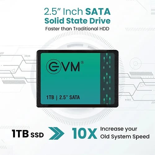 EVM 1TB SATA SSD