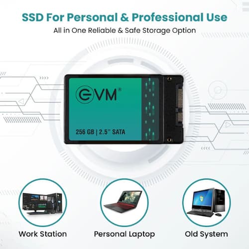 EVM 256GB Internal SSD
