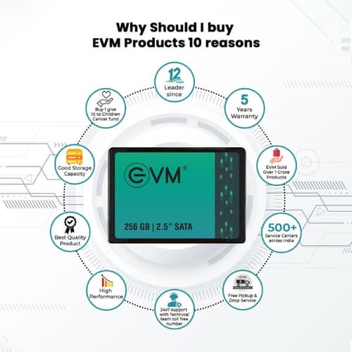 EVM 256GB Internal SSD