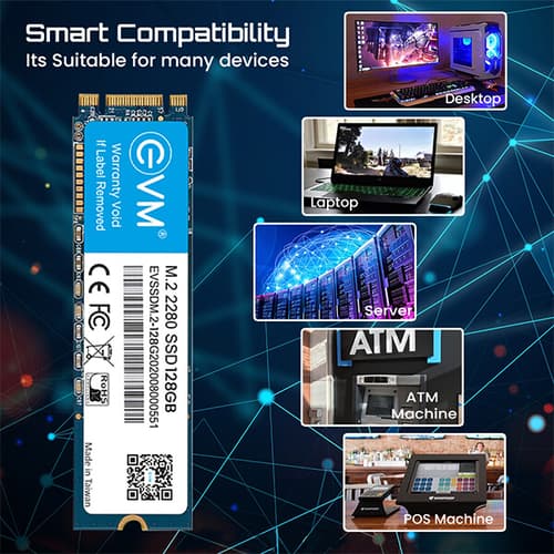 EVM 128GB M.2 Internal SSD (EVM25/128GB)