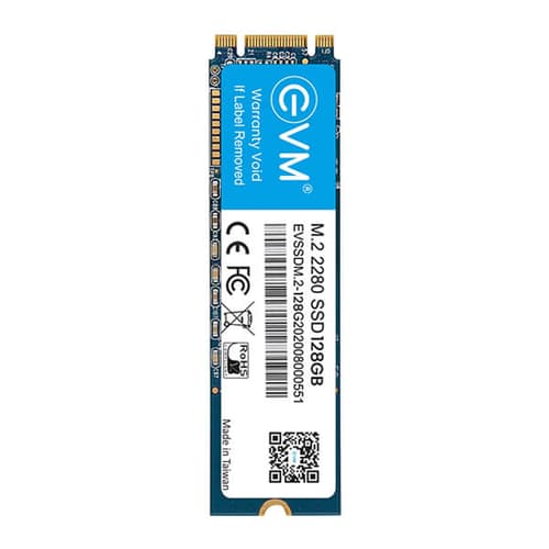EVM 128GB M.2 Internal SSD (EVM25/128GB)