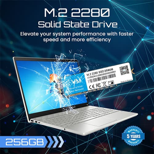 EVM 256GB M.2 Internal SSD (EVMM2/256GB)