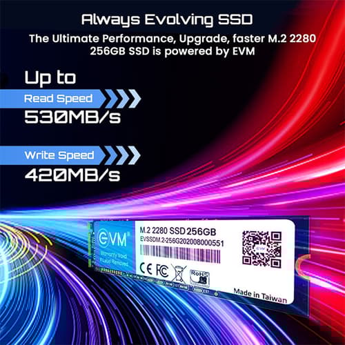 EVM 256GB M.2 Internal SSD (EVMM2/256GB)