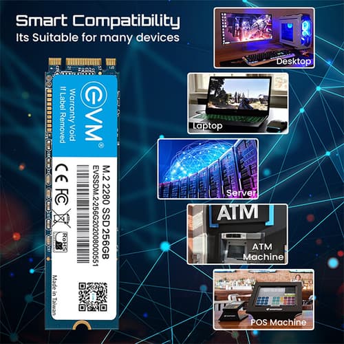 EVM 256GB M.2 Internal SSD (EVMM2/256GB)