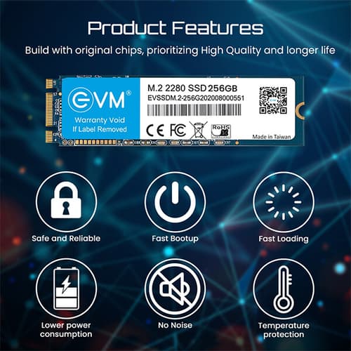 EVM 256GB M.2 Internal SSD (EVMM2/256GB)