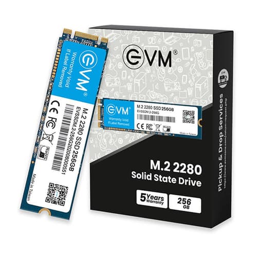EVM 256GB M.2 Internal SSD (EVMM2/256GB)