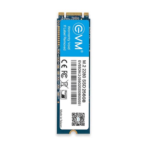 EVM 256GB M.2 Internal SSD (EVMM2/256GB)