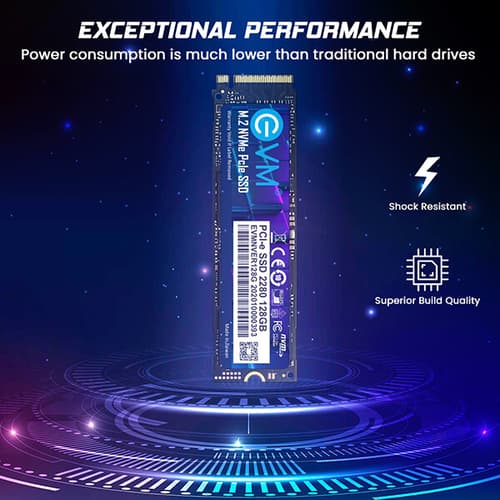 EVM 128GB M.2 NVMe Internal SSD