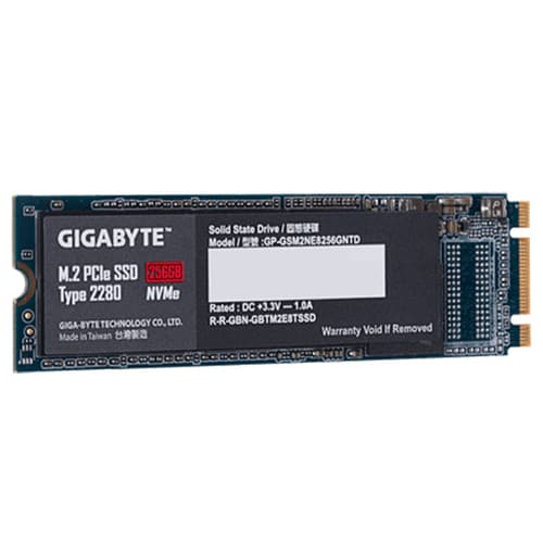 Gigabyte 256GB M.2