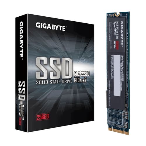 Gigabyte 256GB M.2