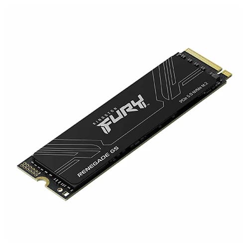Kingston Fury Renegade G5 4096GB NVMe Gen5 SSD
