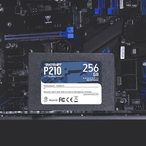 Patriot P210 256GB Internal SSD