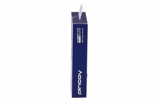 Pincoy MobiStor 120GB Wallet SSD