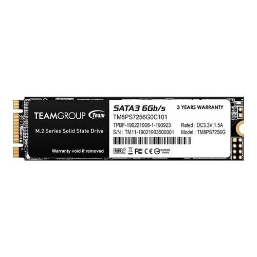 TeamGroup MS30 256GB Internal SSD