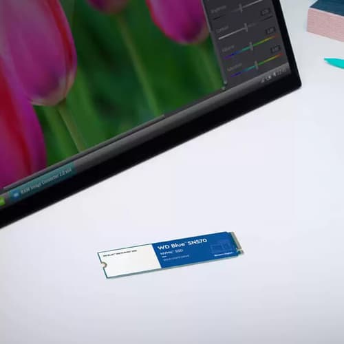 Western Digital Blue SN570 2TB M.2 NVMe Internal SSD