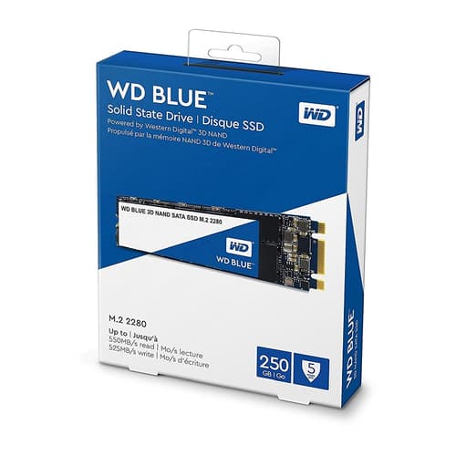 Western Digital Blue 250GB M.2