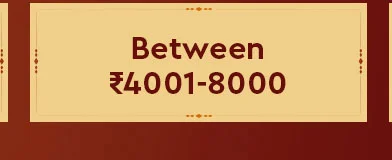 Between Rs. 4001 - 8000/-