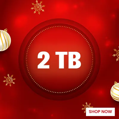 Sandisk Christmas Sale