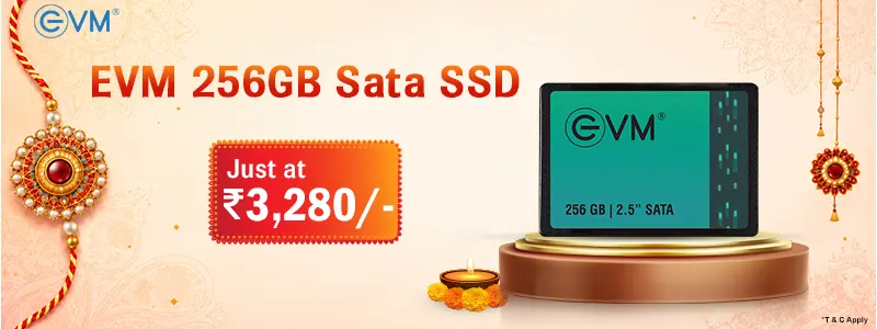 EVM 256GB Sata SSD