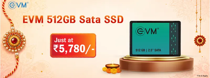 EVM 512GB Sata SSD