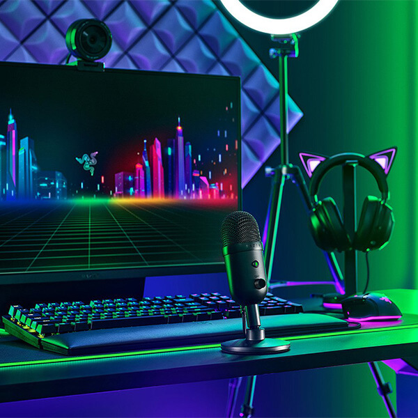 Razer Seiren V2 X Microphone (Black)