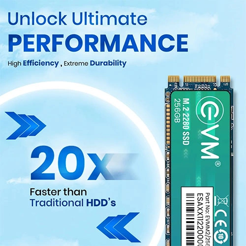 EVM 256GB M.2 SATA SSD